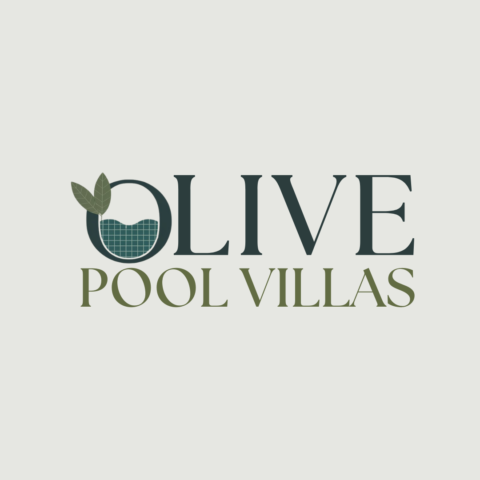 Luxuary Pool Villa Company Logo Designer Udaipur